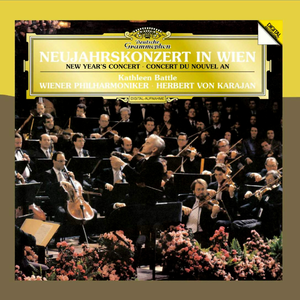 Hk416吸乳脱内内
