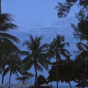 Hk416吸乳脱内内
