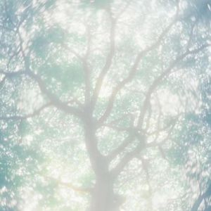 Hk416吸乳脱内内
