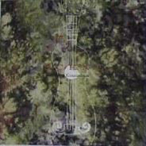 Hk416吸乳脱内内
